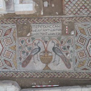 Roma Tavus Kuşu Mozaiği